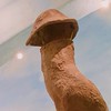 きのこの山🍄