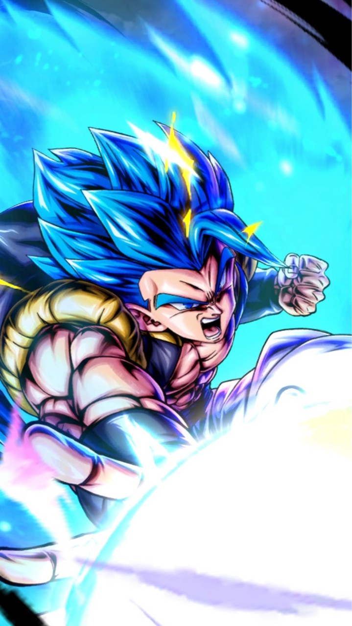 DBL/DBDオプ