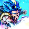 DBL/DBDオプ
