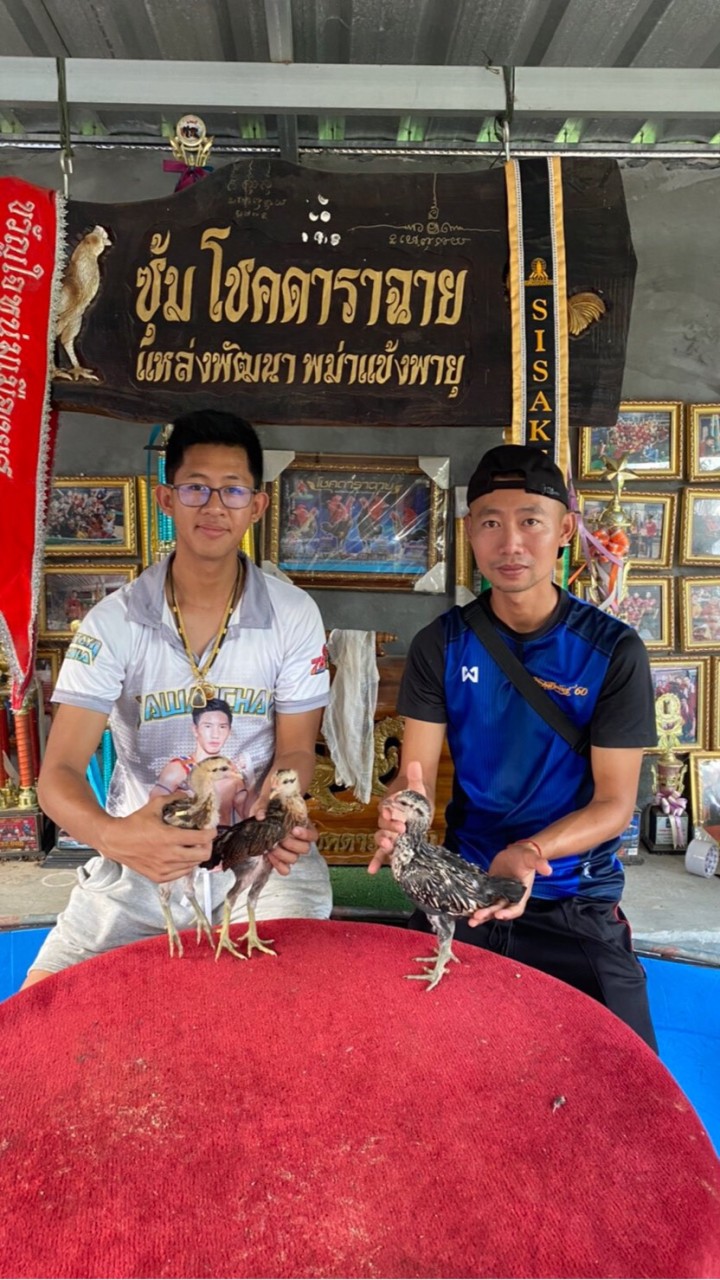 ซุ้มหัวเกรียนทีม&ส.มีนัด ฟาร์ม
