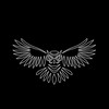 小学生ドッジボールBLACK OWL🦉体験者募集⭐️