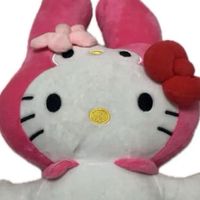 10/29-11/12 日本連線