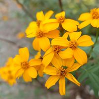 富寶田健康資訊交誼網