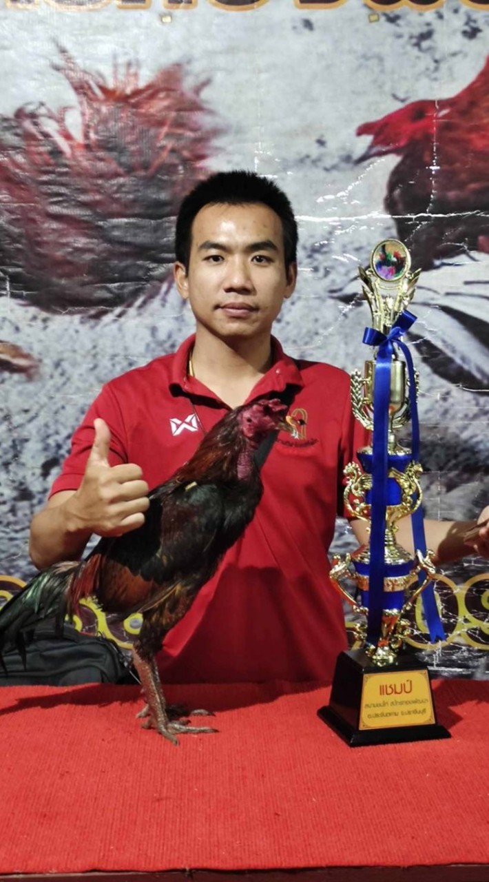 เรือนเมฆา สังกัดขงเบ้งไก่ชน(304)
