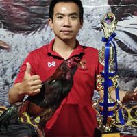 เรือนเมฆา สังกัดขงเบ้งไก่ชน(304)