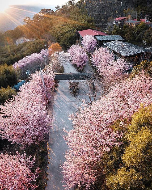 （圖片來源／IG @shih.shin32）