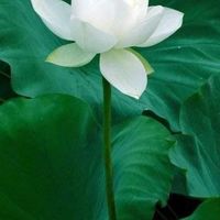 ❤️情