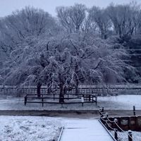 エモクロアとクトゥルフついでのフタリソウサ中心の常人卓だよ！　月見卓！