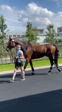 山形県馬術連盟