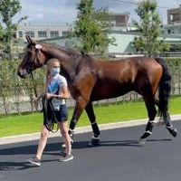 山形県馬術連盟