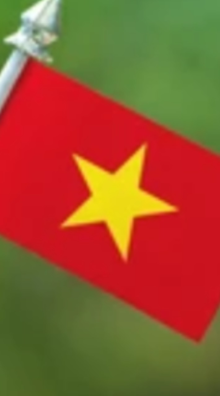台灣越南交流群