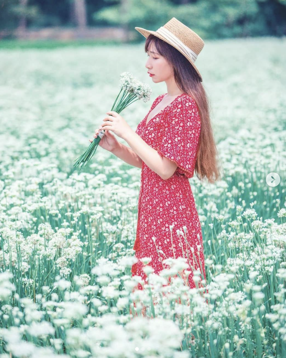 彰化秘境韭菜花田