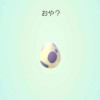 50代からのポケモンGO