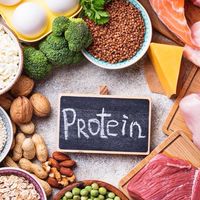 滴比專屬食譜分享2群