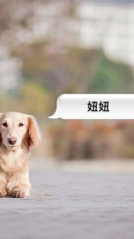 21.12.12屏東教學活動