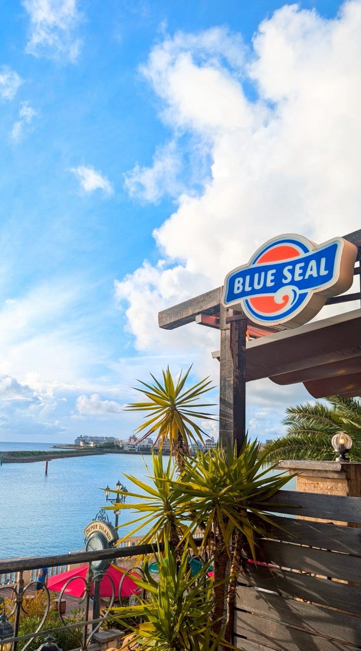 YUKIKOと行く 沖縄ヨガツアー🧘🌺
