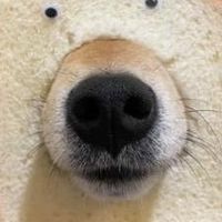 雑談組