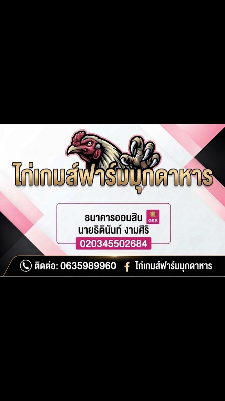 ไก่เกมส์ฟาร์ม มุกดาหาร🐦‍🔥