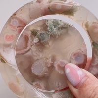 貓貓的櫻花樂園