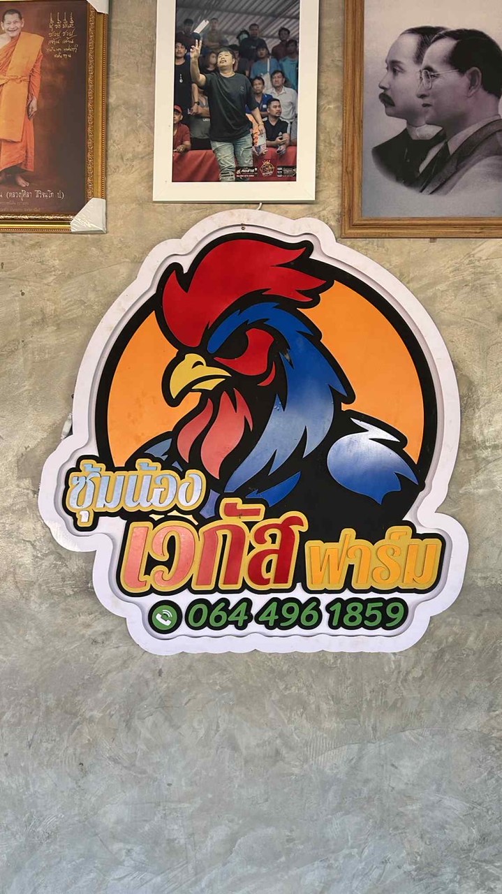 ซุ้มน้องเวกัส🐓