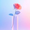 *̩̩̥*̩̩̥ ୨୧ 今日の出来事シェア会 ୨୧ *̩̩̥*̩̩̥