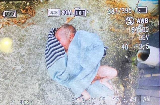 女嬰遭棄置荔枝園 螞蟻爬身送醫急救