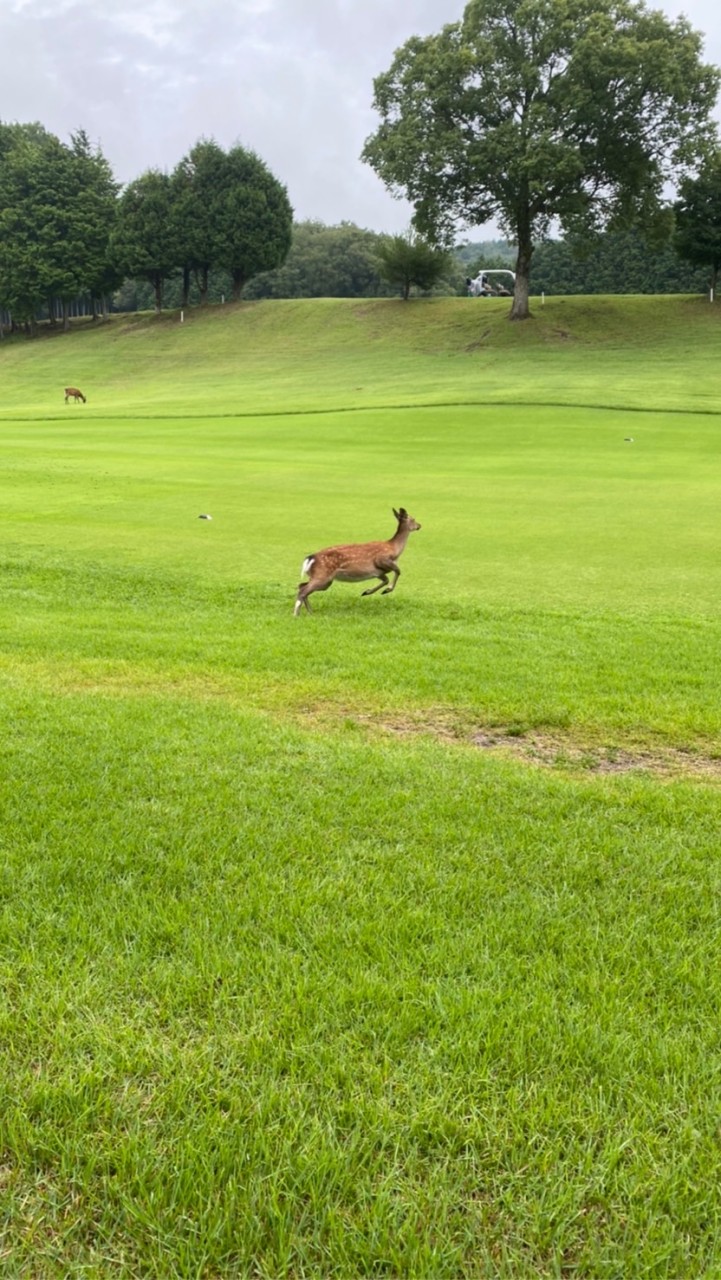 ⛳️大阪ゴル友⛳️(初心者〜中級者)