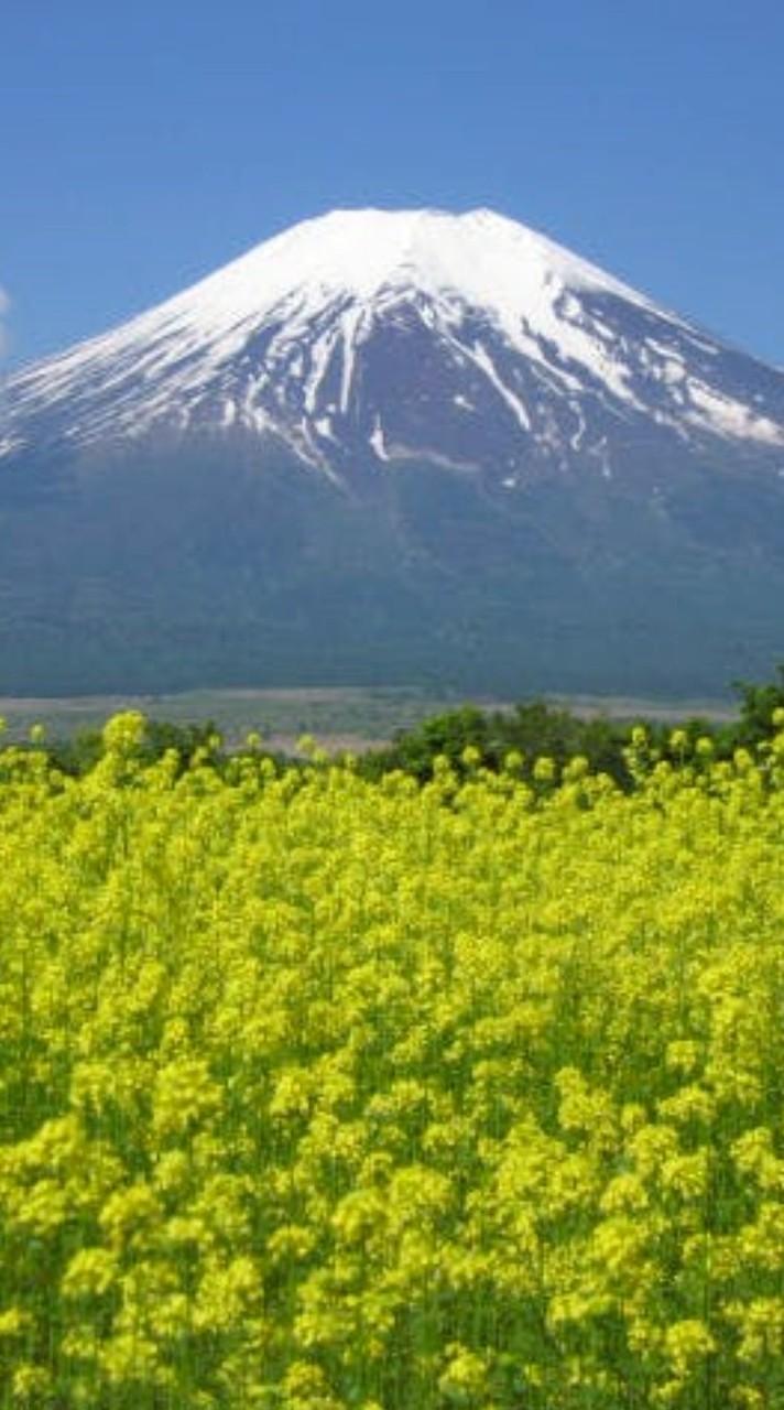 首都圏散策会