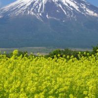首都圏散策会