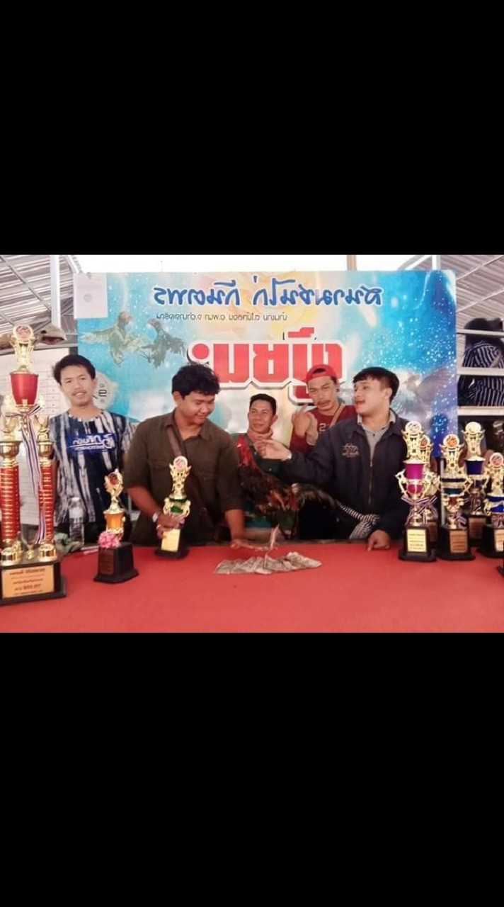 ซุ้มไก่ชน..เพชรพิมพ์หาร