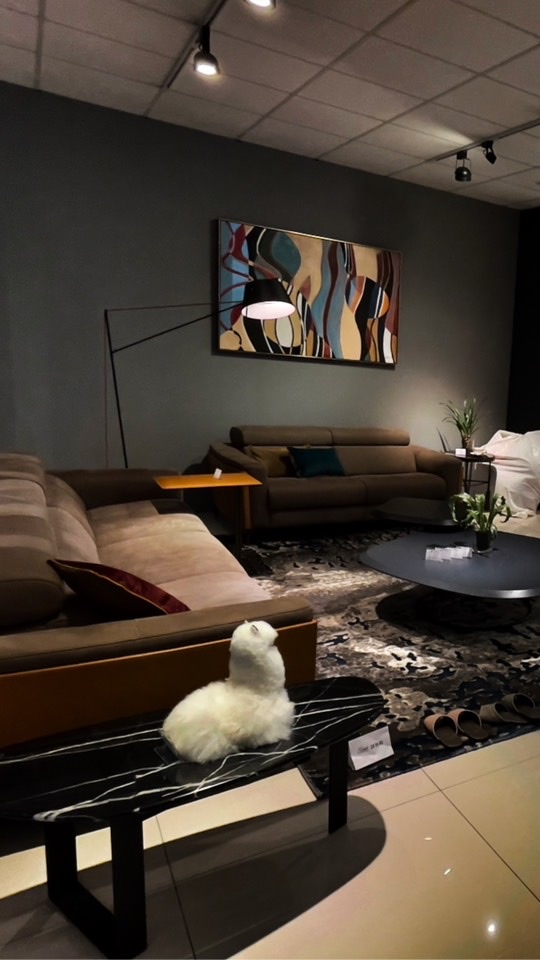 奧群furniture