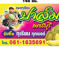 แผงทุเรียนปาล์มเพชรบุรี