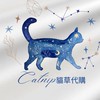 Catnip貓草購物✿日韓歐美🇰🇷精品✿連線代購🛍