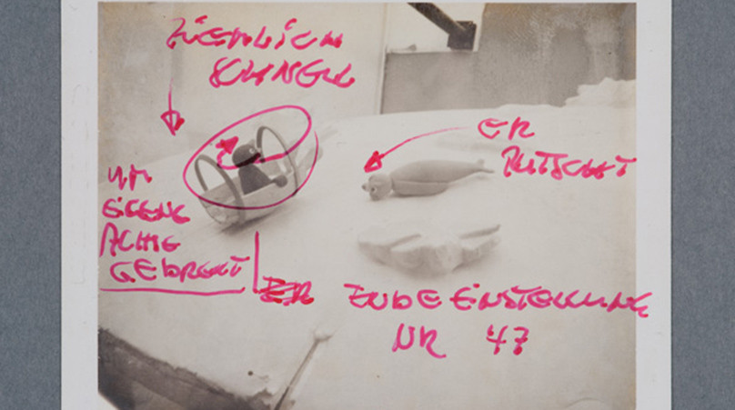 《Pingu企鵝家族的誕生：40週年巡迴特展》首度登台！