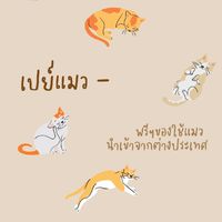 เปย์แมว​ นำเข้า​ของใช้แมวจากต่างประเทศ