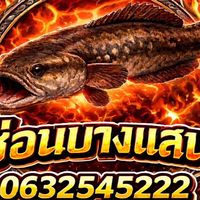 พูดคุยลูกค้ากิจกรรม ปลาช่อนบางแสน