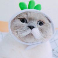 นักร้องเพลงและนักเต้น