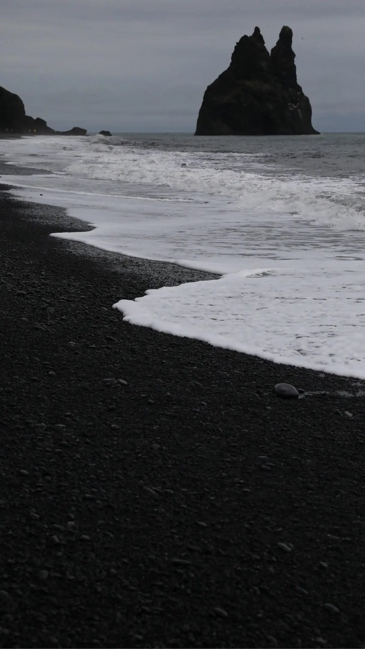 大雞雞們家族