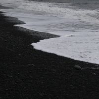 大雞雞們家族