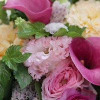 ワクワクお花クラブ