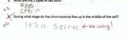 Gokil Parah! Ini 10 Coretan Buku Sekolah Yang Terlalu Kreatif