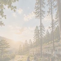山林慢活計畫