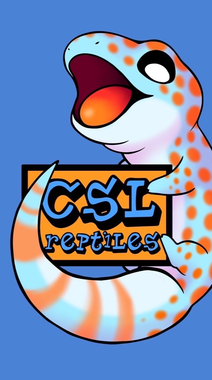 CSL-reptiles 專用討論/競標社群（客人）