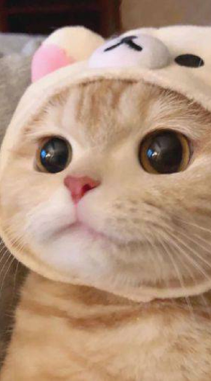หาแลกรหัส