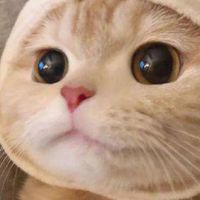 หาแลกรหัส