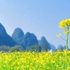恩典手工丸子，恩典厨房