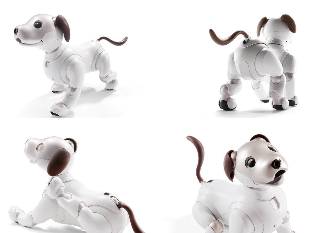 即將開放預購，Sony 超可愛的機器狗 aibo 來了
