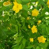 【心とからだの断捨離】&【終活】