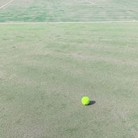 〘パラピヨ 〙高校生限定テニスに関する学びを深める会