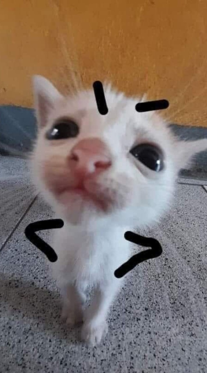 คุยเล่นป่ะ